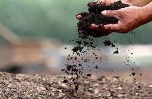 先有肥料*再談土壤健康